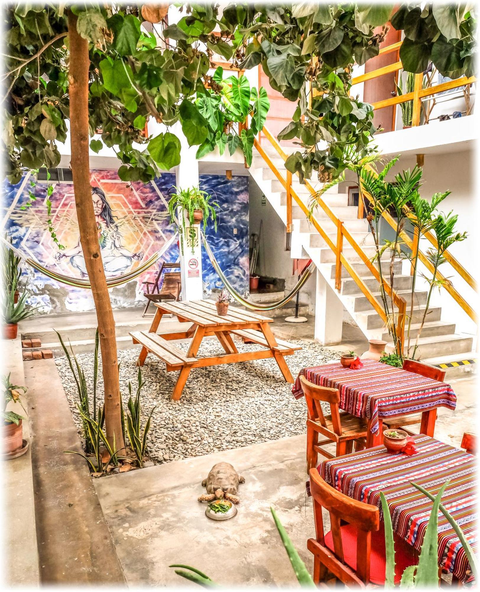 Hostel Atma & Yoga